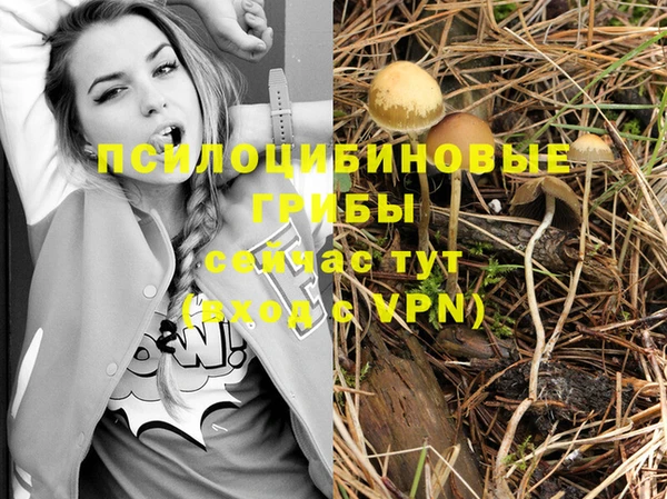 соль курить ск Абаза