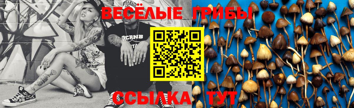 Галлюциногенные грибы ЛСД  Вход с VPN  Карасук 